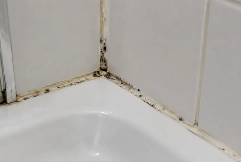 Kitbedrijf Linschoten – beschimmelde kitranden